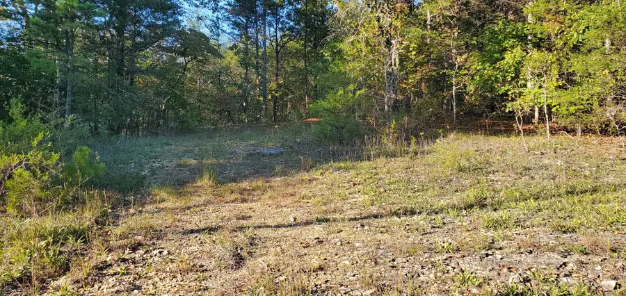 43 Thunder Road Road, Gainesville, MO 65655 - Image #3