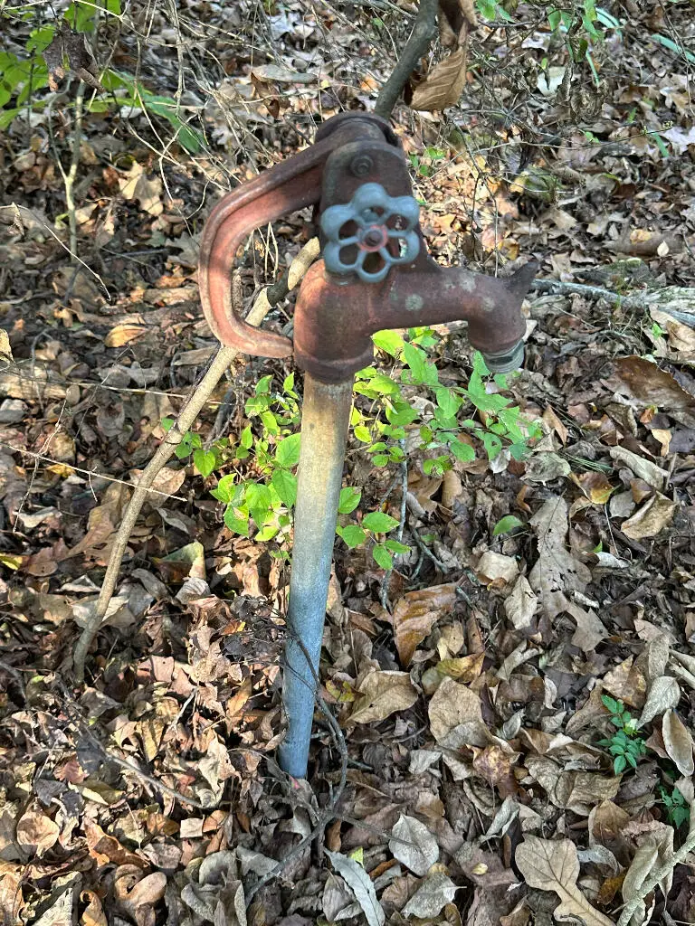 496 Catfish Lane, Kissee Mills, MO 65680 - Image #3