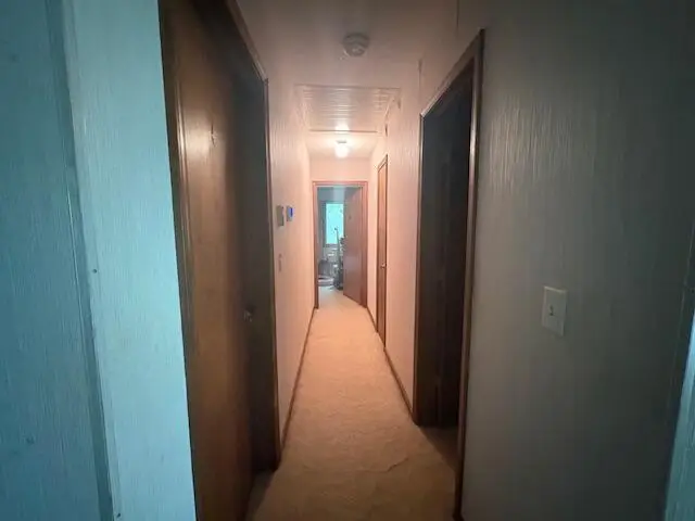 2526 Bear Creek Road, Walnut Shade, MO 65771 - Image #3