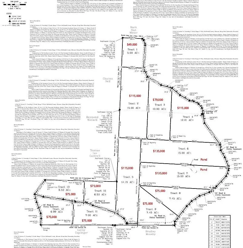 Tract 11 Styles Road, Noel, MO 64854 - #3