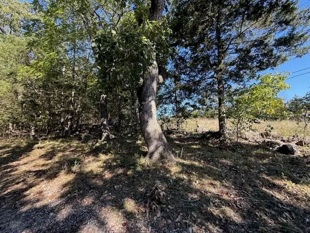 4325 State Highway H, Lampe, MO 65681 - Image #3