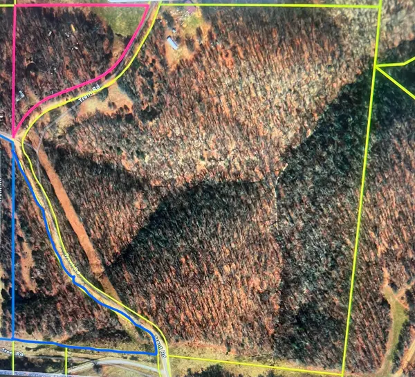 519 Trent Road, Washburn, MO 65772