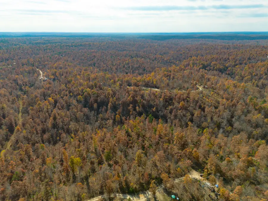 15682 Winding Trail, Birch Tree, MO 65438 - Image #3