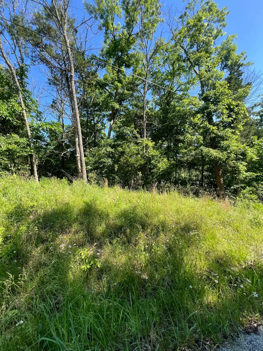 299 Beaver Road, Branson, MO 65616 - Image #2