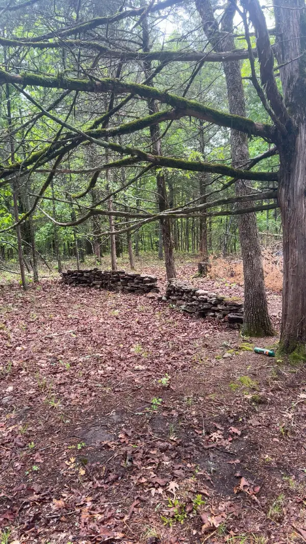 825 Jessi Road, Forsyth, MO 65653