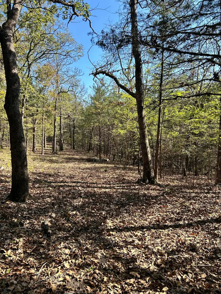 825 Jessi Road, Forsyth, MO 65653 - Image #3