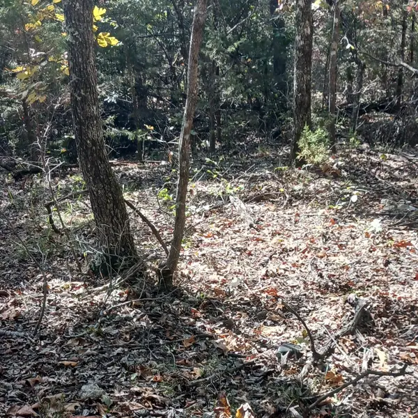 Blk2 Lot6 Rockridge Drive, Isabella, MO 65761