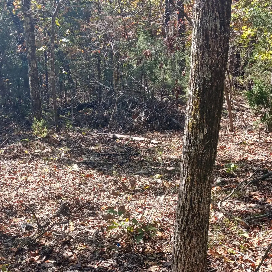 Blk2 Lot6 Rockridge Drive, Isabella, MO 65761 - Image #2