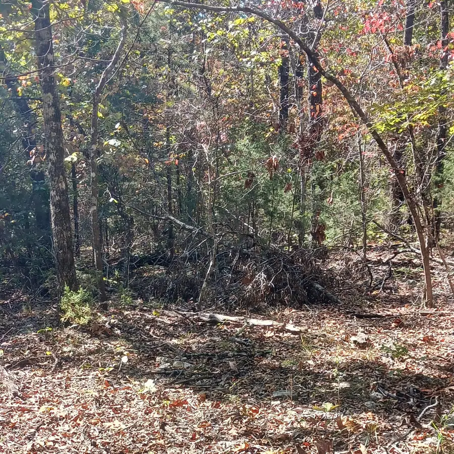 Blk2 Lot6 Rockridge Drive, Isabella, MO 65761 - Image #3