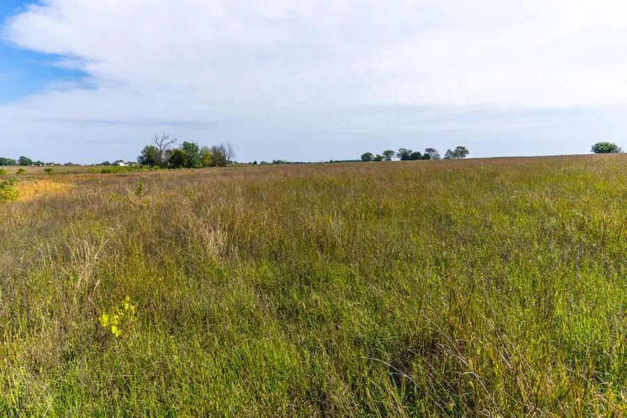 000 Morgan Lane Lane, Fair Grove, MO 65648 - Image #2