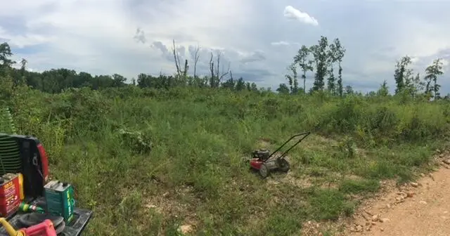 1240 County Rd 875, Thornfield, MO 65762 - Image #3