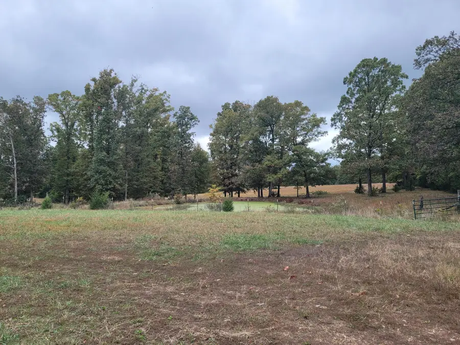 Tbd Hawknest Trail, Long Lane, MO 65590 - Image #2