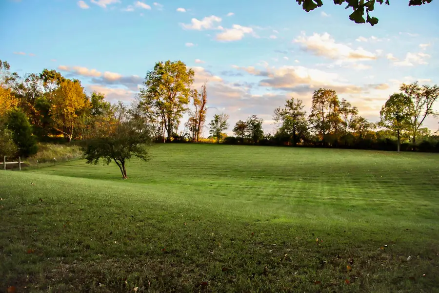 360 Julip Lane, Highlandville, MO 65669 - Image #3