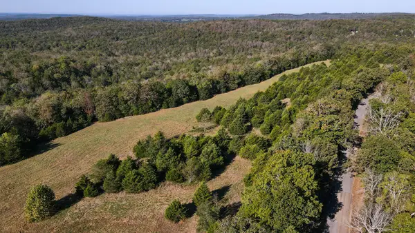 000 County Road 642, Theodosia, MO 65761