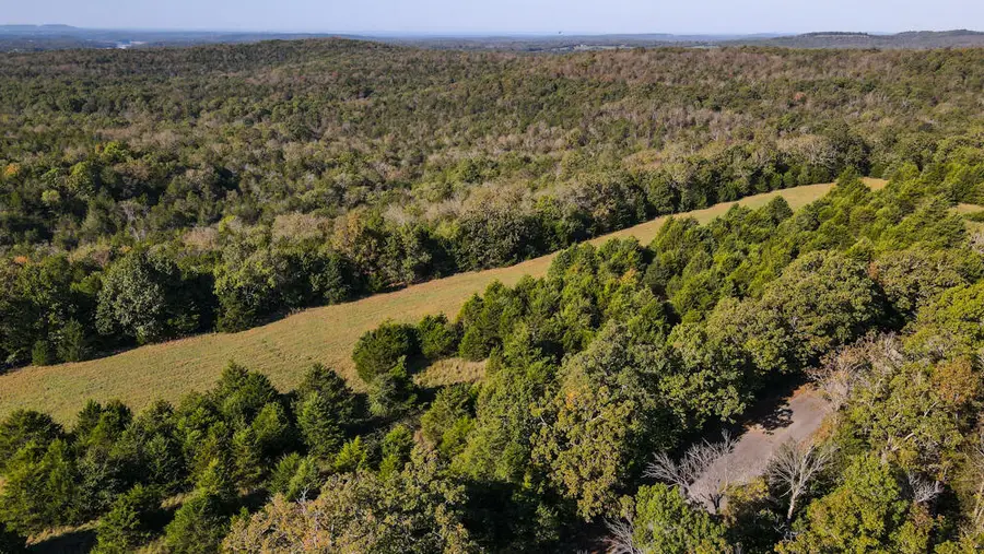 000 County Road 642, Theodosia, MO 65761 - Image #2