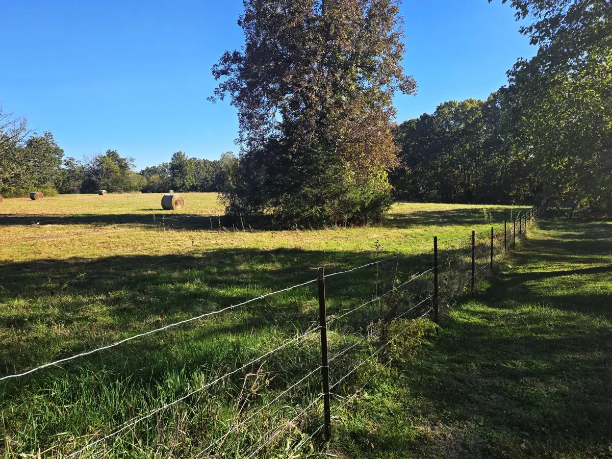 1978 Old Highway 60, Birch Tree, MO 65438 - Image #1