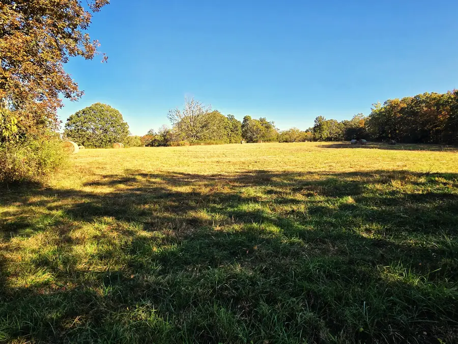 1978 Old Highway 60, Birch Tree, MO 65438 - Image #2