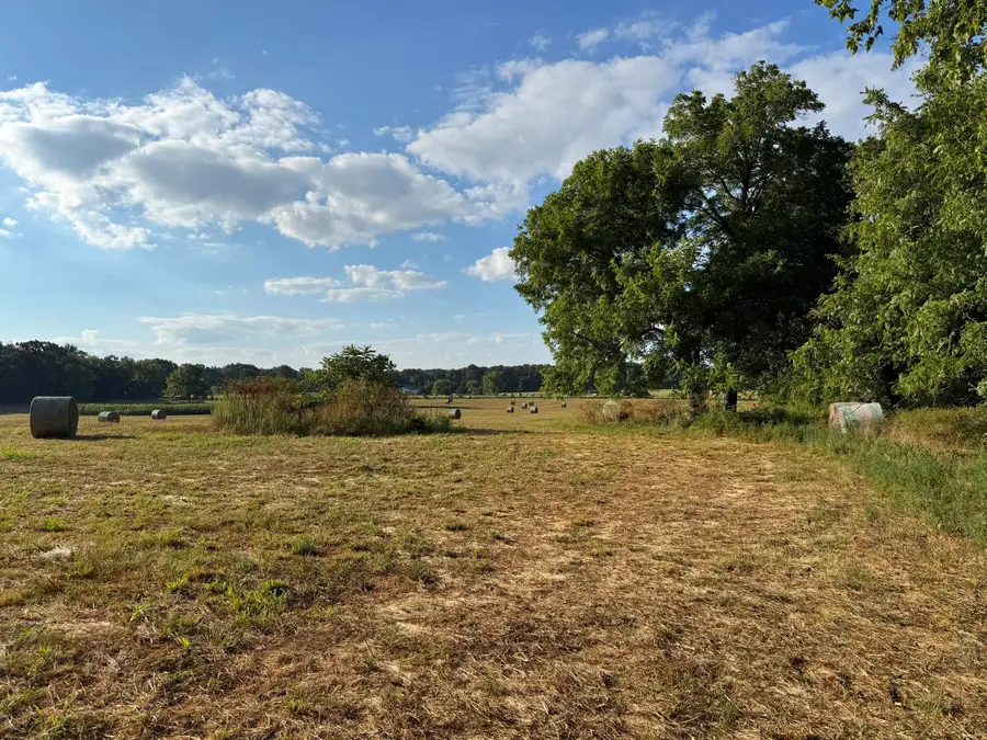 000 Highway F, Stotts City, MO 65756 - Image #3