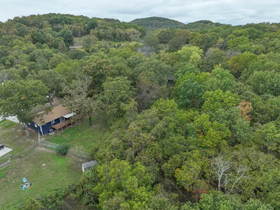 121 Old Mill Road, Lampe, MO 65681 - Image #2