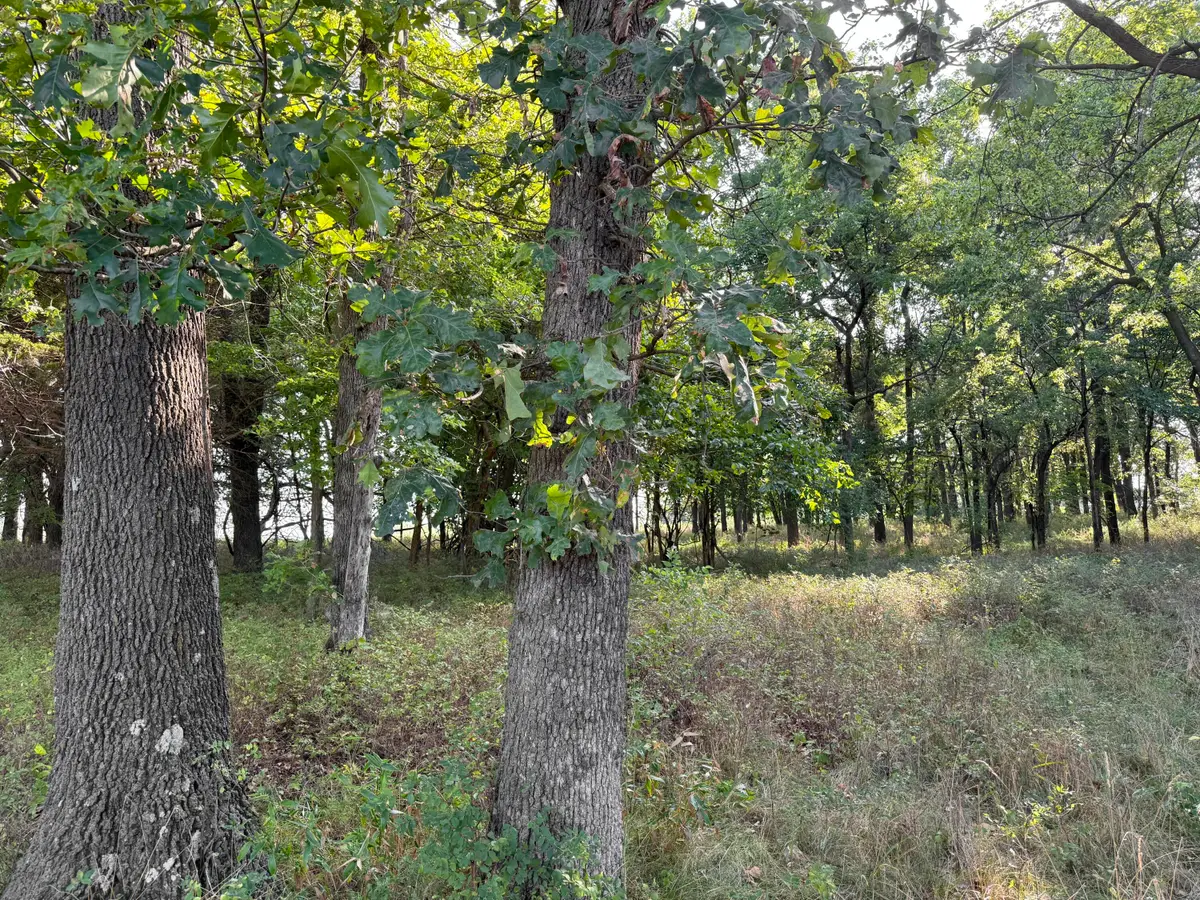 000 State Hwy F, Stotts City, MO 65756 - Image #1