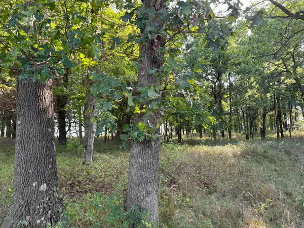 000 State Hwy F, Stotts City, MO 65756