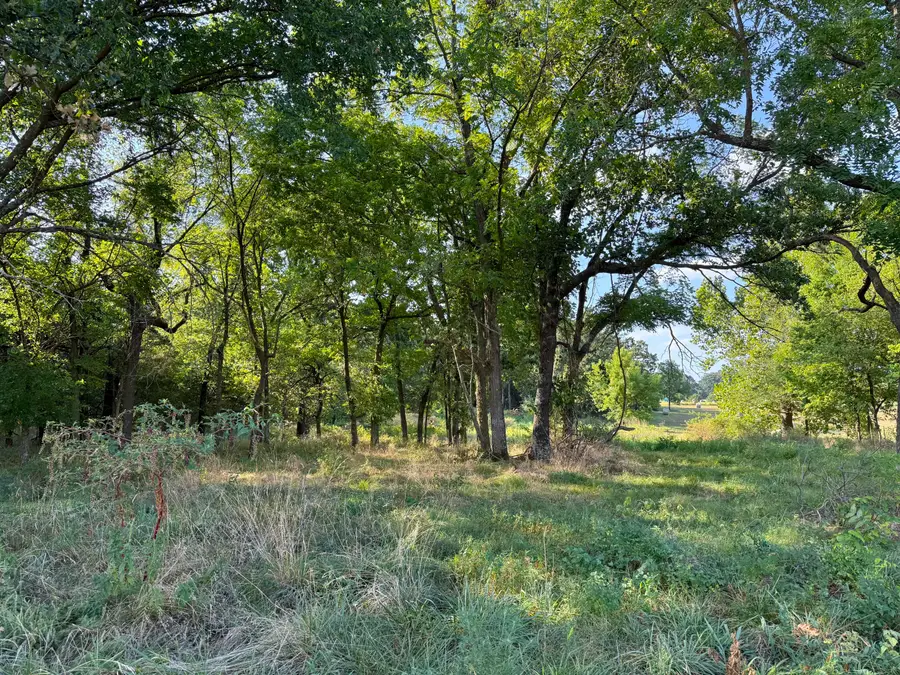 000 State Hwy F, Stotts City, MO 65756 - Image #2