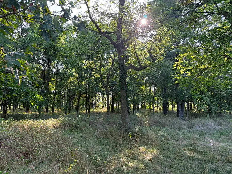 000 State Hwy F, Stotts City, MO 65756 - Image #3