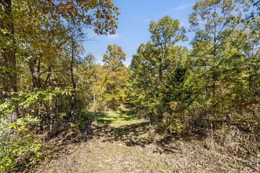 875 Windmill Road, Hollister, MO 65672 - Image #3