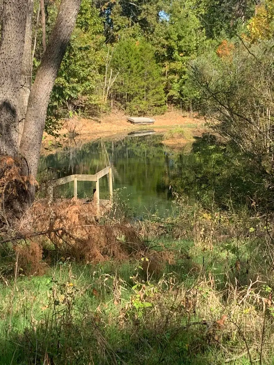 Tbd Highway Kk, Ava, MO 65608 - Image #2