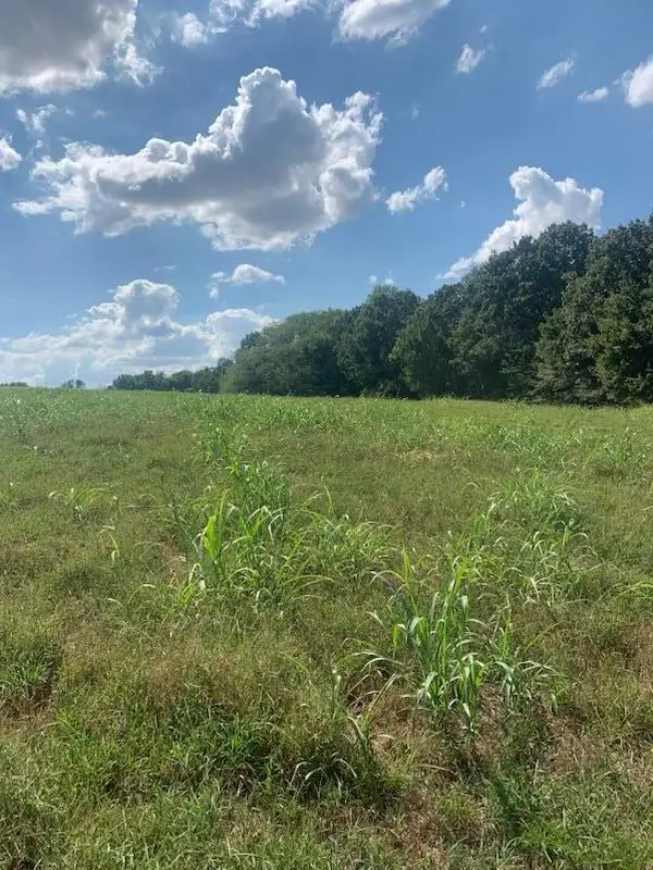 Tbd Farm Road 1012, Pierce City, MO 65723 - Image #1