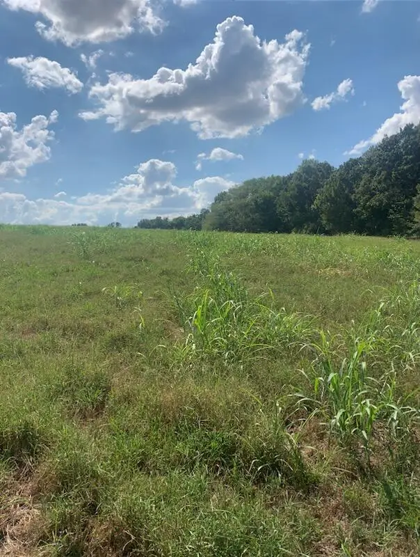 Tbd Farm Road 1012, Pierce City, MO 65723 - Image #2