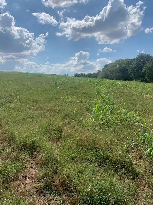 Tbd Farm Road 1012, Pierce City, MO 65723 - Image #3