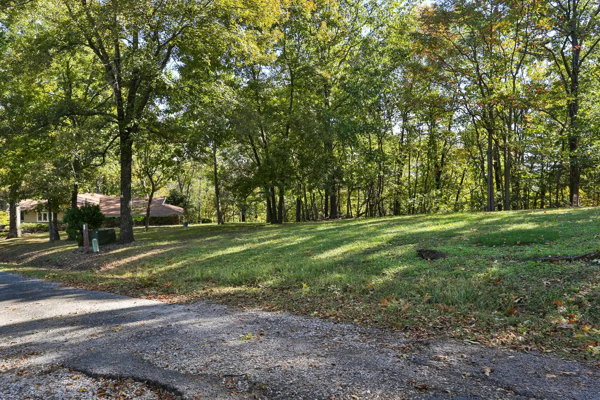 21 Whitedove Lane, Lampe, MO 65681 - Image #1