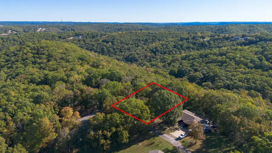 21 Whitedove Lane, Lampe, MO 65681 - Image #2