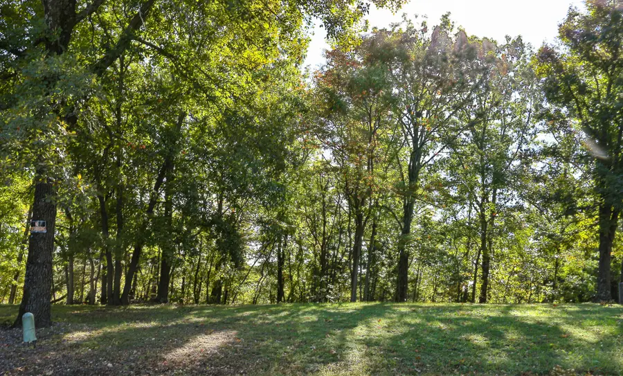 21 Whitedove Lane, Lampe, MO 65681 - Image #3