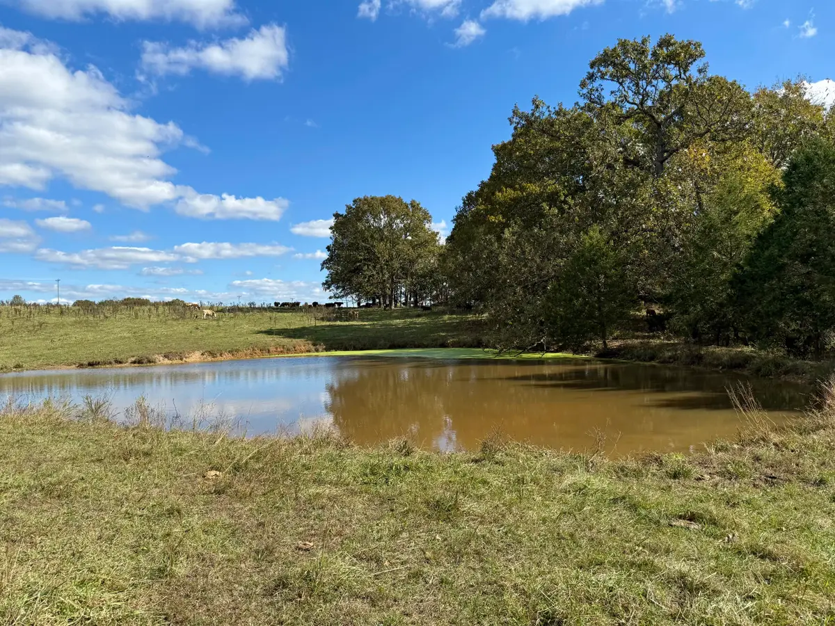 000 Highway 17, Houston, MO 65483 - Image #1