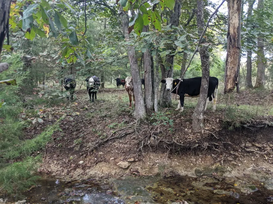 505 D Hwy, Urbana, MO 65767 - Image #3