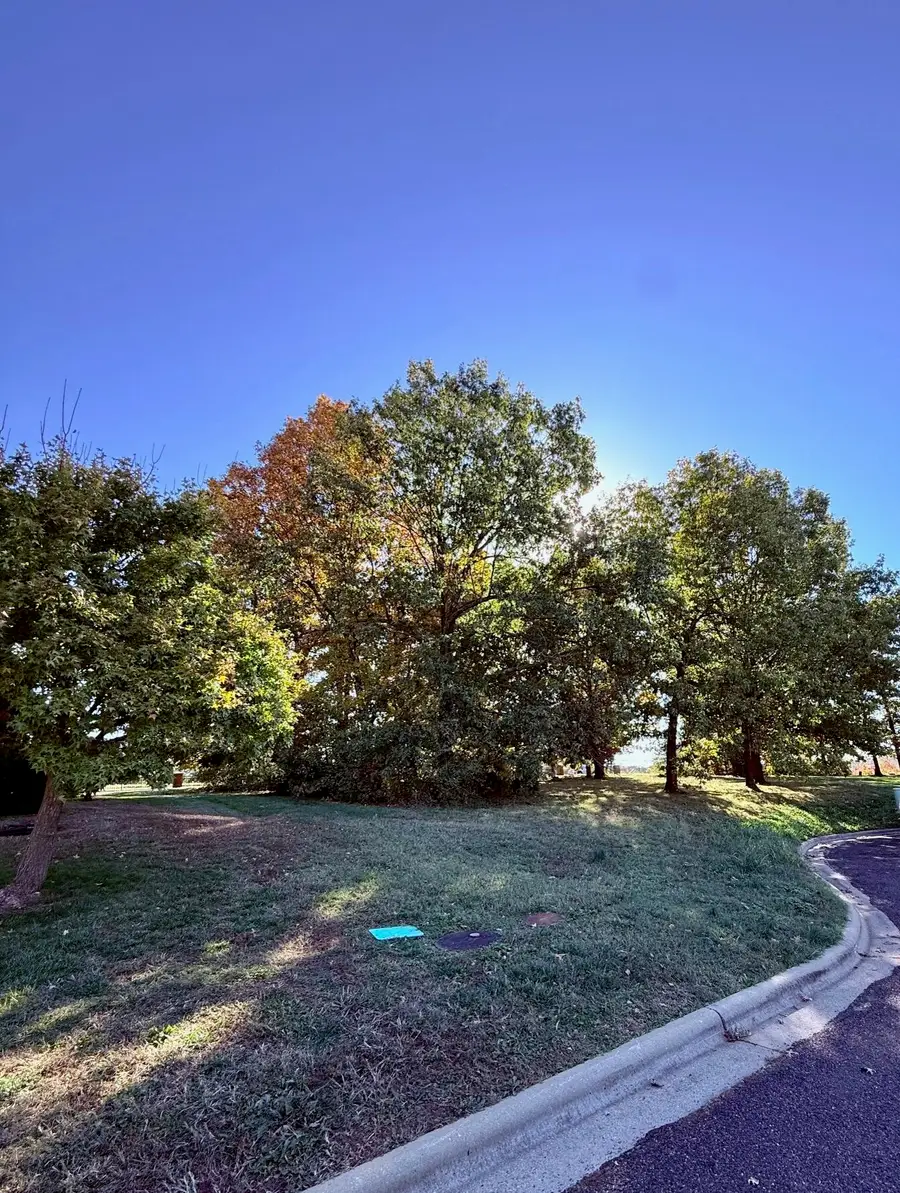 3 Remington Drive, Monett, MO 65708 - Image #2