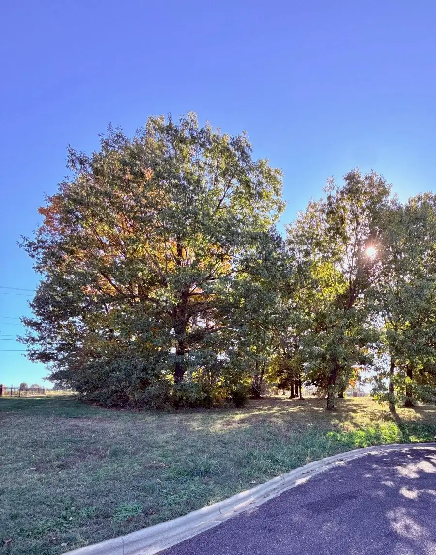 3 Remington Drive, Monett, MO 65708 - Image #3