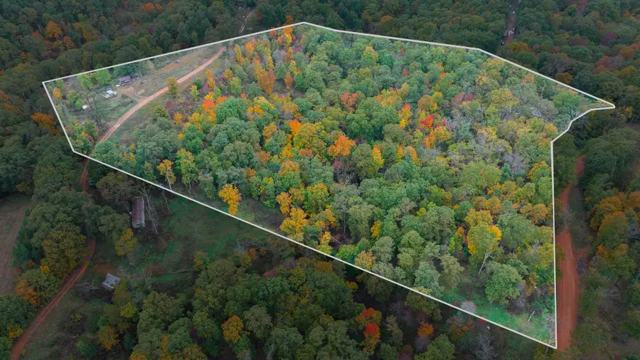 4307 Pr 2217, Washburn, MO 65772 - Image #2