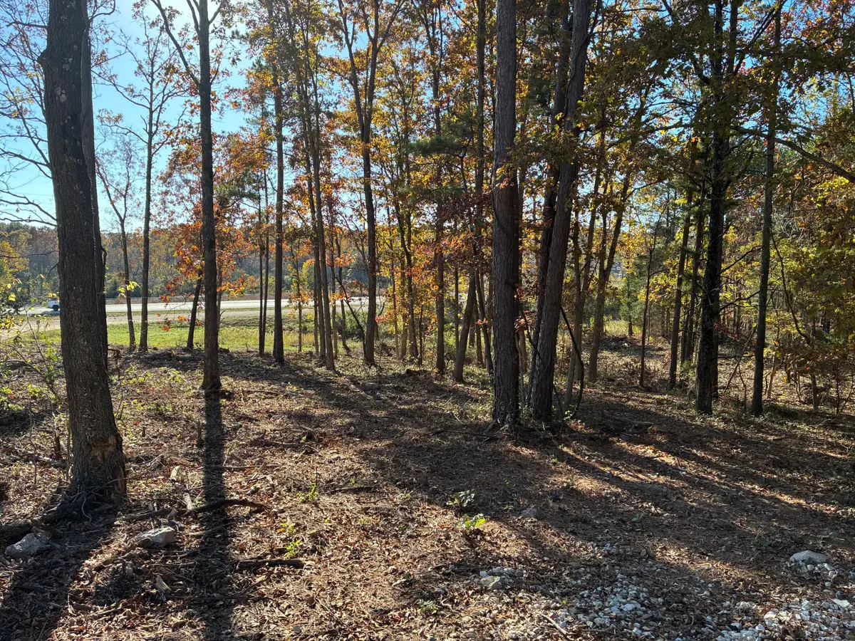 Tbd Pine Ridge Lane, Mountain Grove, MO 65711 - Image #1