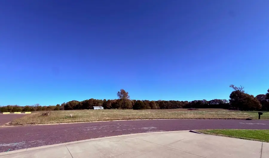 Lot 5 North Port, Monett, MO 65708 - Image #2