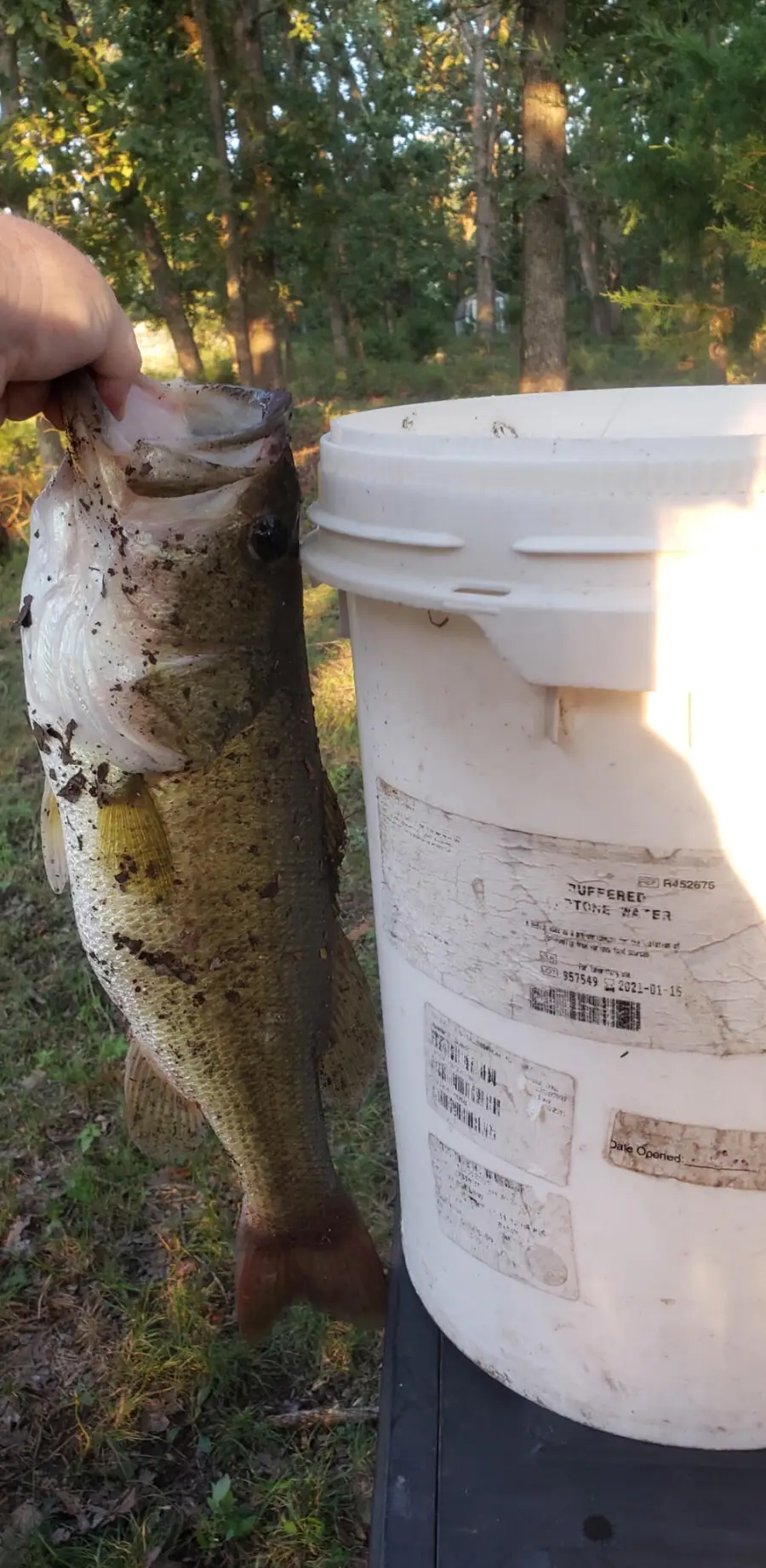 167 E 334th Road, Humansville, MO 65674 - Image #2