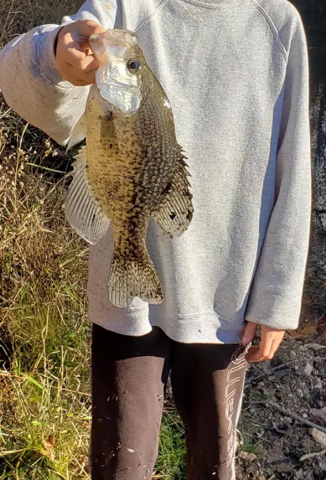 167 E 334th Road, Humansville, MO 65674 - Image #3