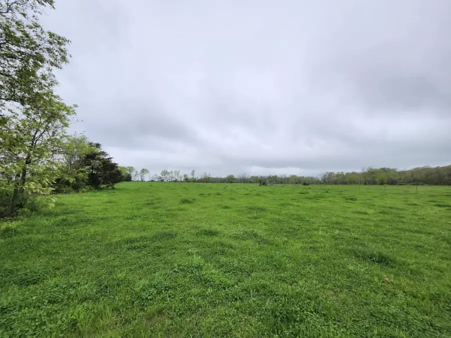 000 Wolfe Drive, Mountain Grove, MO 65711 - Image #3