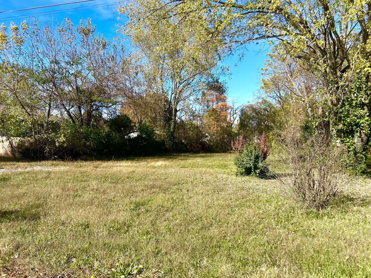 305 W 14th Street, Mountain Grove, MO 65711 - Image #1