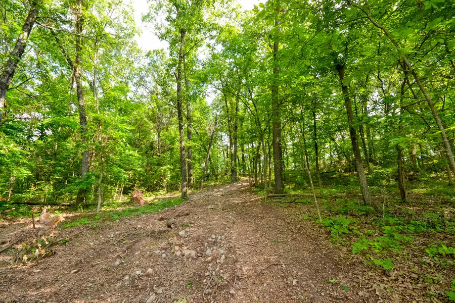 000 Condor Drive #Tract 2n, Seneca, MO 64865 - Image #3