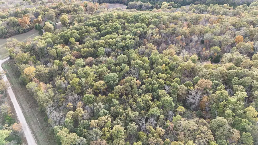 000 SE 451 Road, Collins, MO 64738 - Image #2