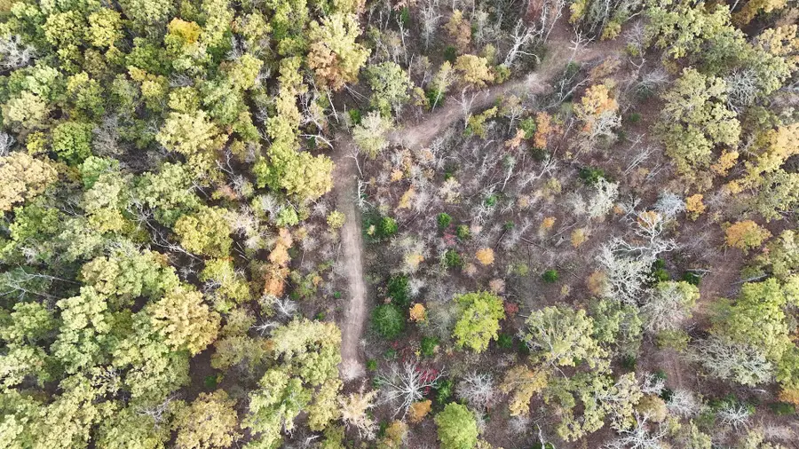 000 SE 451 Road, Collins, MO 64738 - Image #3