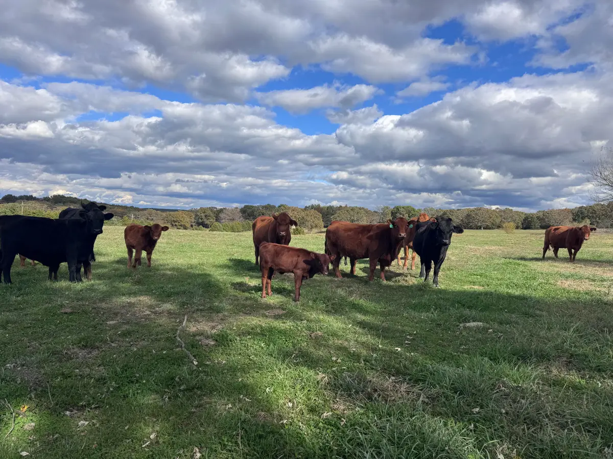 0000 State Highway M, Humansville, MO 65674 - Image #1